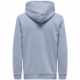 Sudadera Only & Sons Ceres Hoodie Sweat Noos