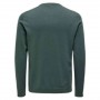 Jersei Only & Sons Alex Reg 12 Crew Knit