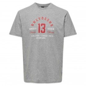 Camiseta Only & Sons Lenny Life Reg Vintage Print Tee Noos