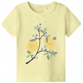 Camiseta Name It Nbffaberry Ss Top Box