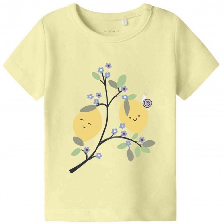 Camiseta Name It Nbffaberry Ss Top Box