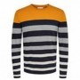 Only & Sons Onsdon 12 Striped Crew Neck Knit