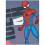 Camiseta Name It Jany Spiderman Ls Top Noos Mar