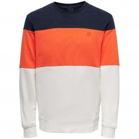 Sudadera Only & Sons Odis Life Reg Cb Crew Neck Sweat