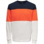 Sudadera Only & Sons Odis Life Reg Cb Crew Neck Sweat